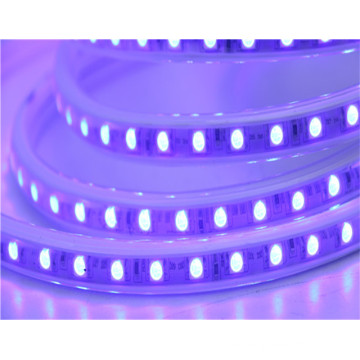 Indoor decoration Waterproof 60Leds/M Flexible SMD 5050 RGB led strip light